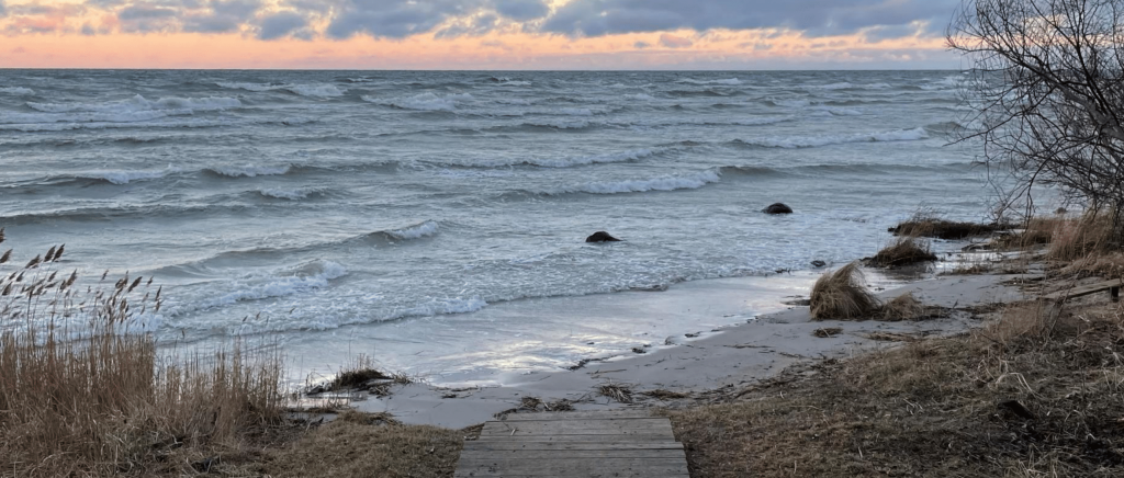 Insights from the MSP Foresight Workshop: Challenges, Visions, and Future-Proofing Actions