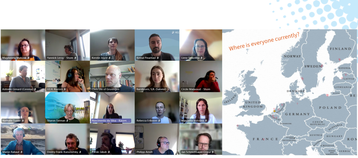 NESB project partner meeting, online