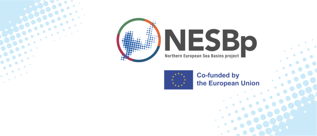 Achievements of the NESB project gap analysis and strategy development phase
