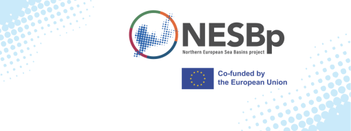 Achievements of the NESB project gap analysis and strategy development phase