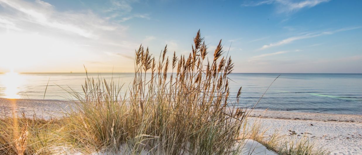 Baltic PlaNet