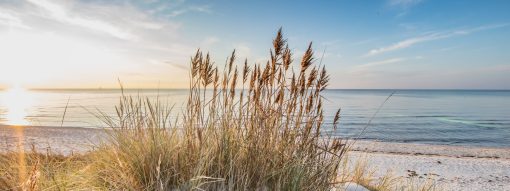 Baltic PlaNet