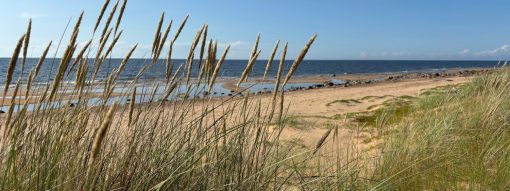 NESB project sessions at the 5th Baltic MSP Forum