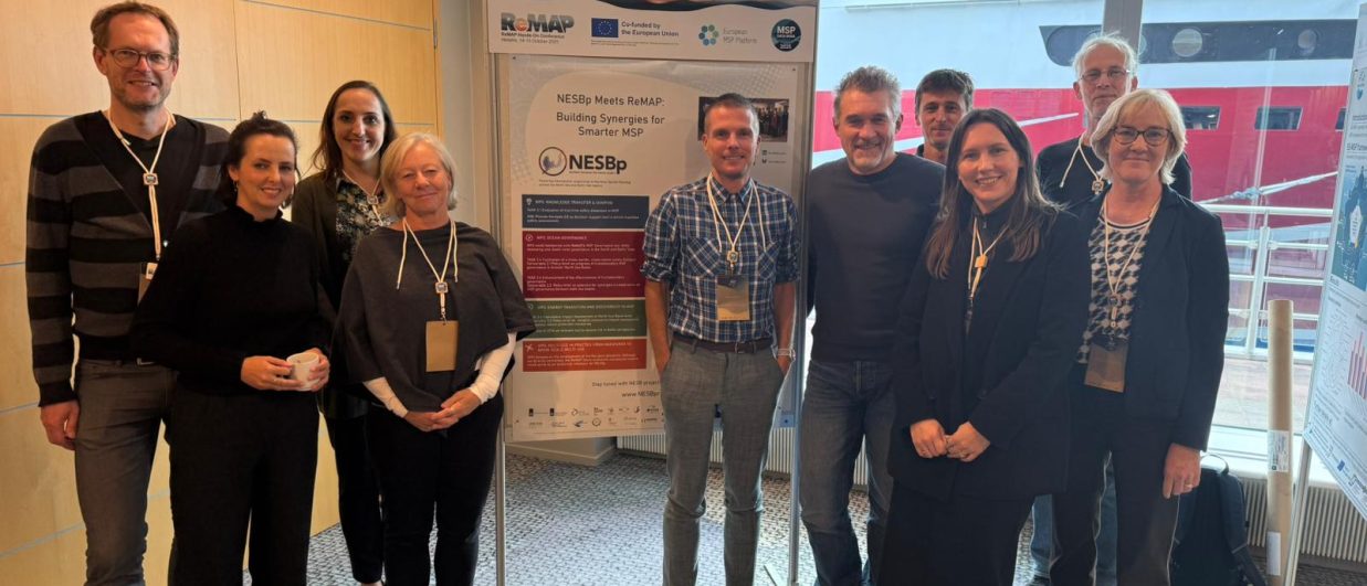 NESB project at the European MSP Data Week in Helsinki