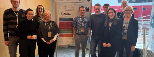 NESB project at the European MSP Data Week in Helsinki