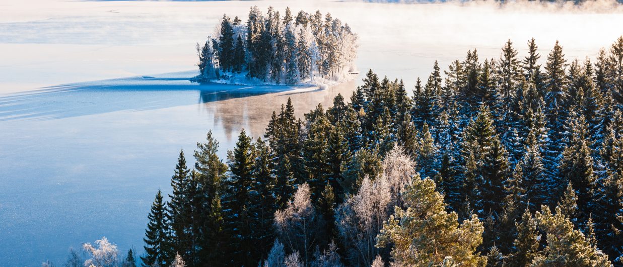 VASAB 2025 Review and 2026 Outlook