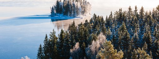 VASAB 2025 Review and 2026 Outlook