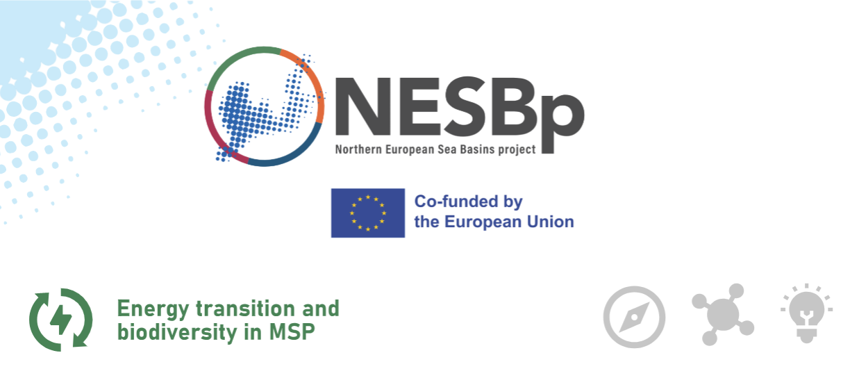 NESB Project in Action: Energy Transition and Biodiversity in MSP