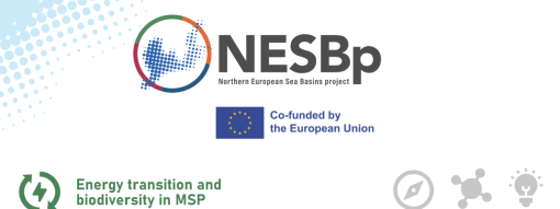 NESB Project in Action: Energy Transition and Biodiversity in MSP