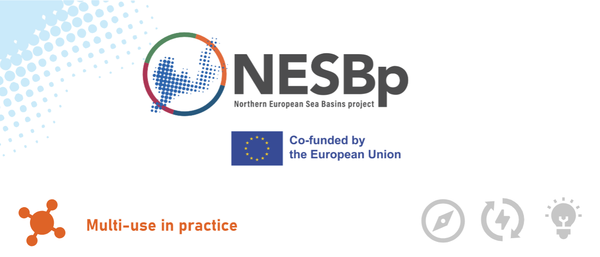 NESB Project in Action: From Mariparks to Basin-Scale Multi-Use​