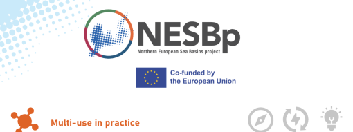 NESB Project in Action: From Mariparks to Basin-Scale Multi-Use​