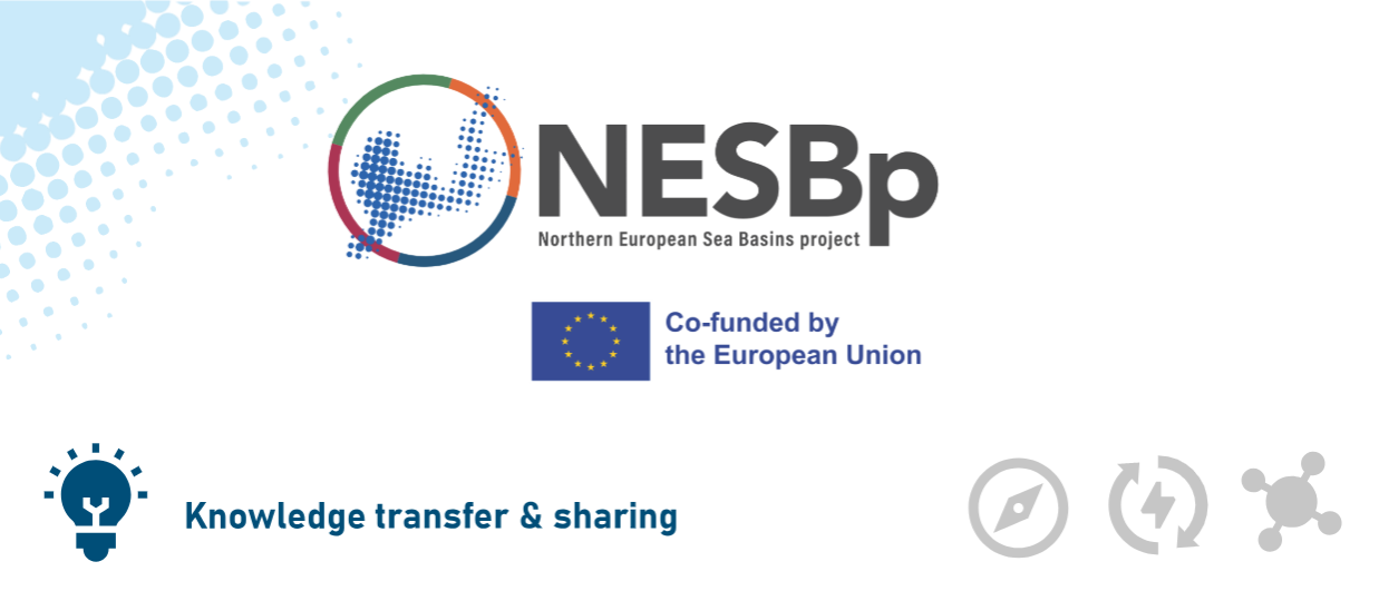 NESB Project in Action: Knowledge Sharing for MSP