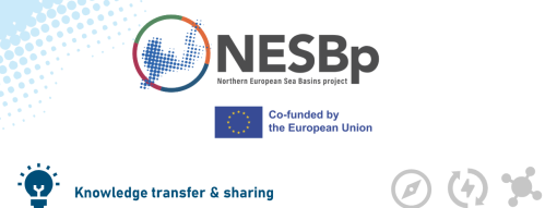NESB Project in Action: Knowledge Sharing for MSP