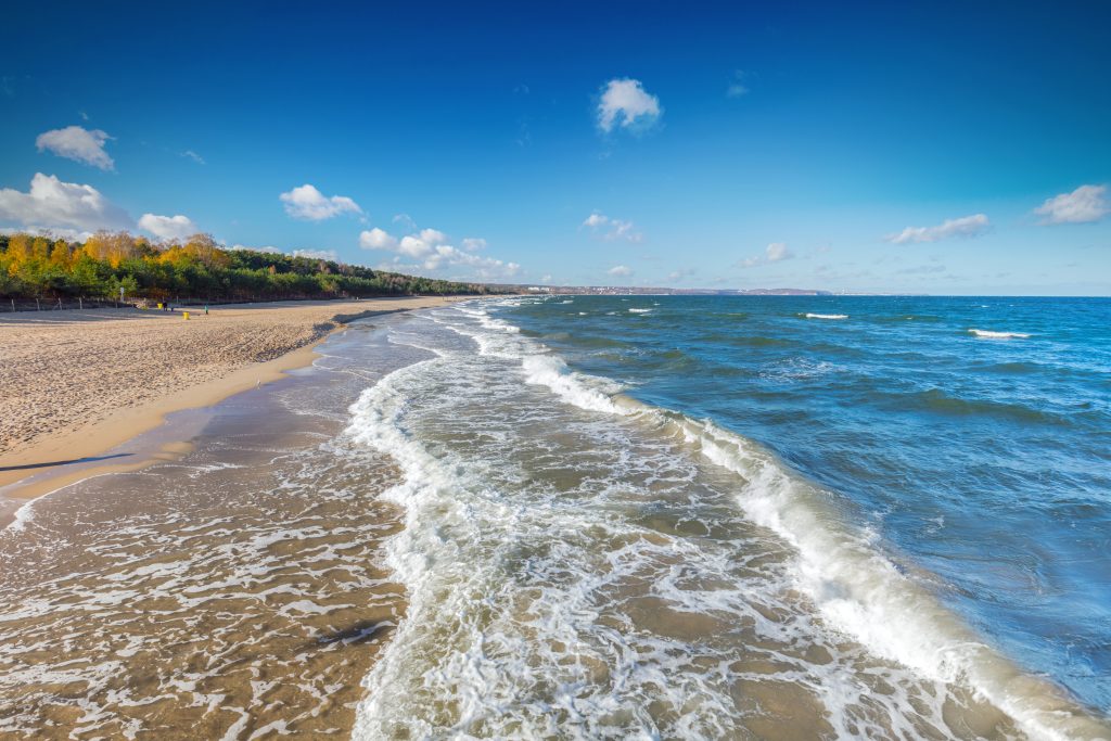 International Scientific and Practical Conference ‘Eco-friendly Development of Coastal and Marine Areas’