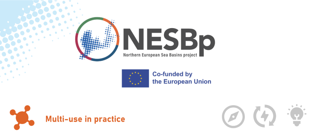 NESB Project in Action: From Mariparks to Basin Scale Multi-use