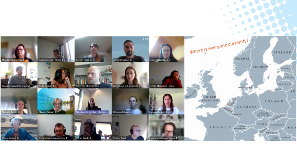 NESB project partner meeting, online