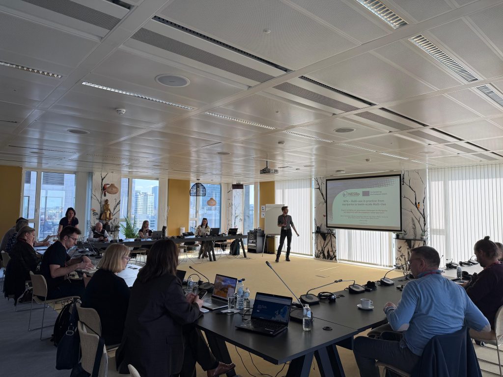 Summary: NESB Project Expert Workshop on MariPark Governance